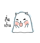 Polar cat（個別スタンプ：24）