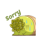 Haworthia Kingdom : Obtusa Monster（個別スタンプ：13）