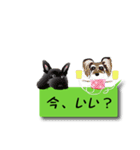 おもしろ吹き出しシュナウザー(挨拶編)（個別スタンプ：23）