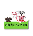 おもしろ吹き出しシュナウザー(挨拶編)（個別スタンプ：35）