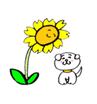 ちゃすけまる 文字なし（個別スタンプ：24）