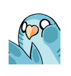 Bird Circle - Life（個別スタンプ：11）