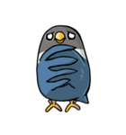 Bird Circle - Life（個別スタンプ：33）