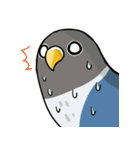 Bird Circle - Life（個別スタンプ：35）