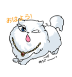 黒猫とペルシャの日常（個別スタンプ：1）