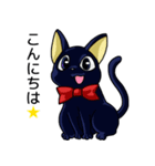 黒猫とペルシャの日常（個別スタンプ：2）
