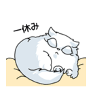 黒猫とペルシャの日常（個別スタンプ：8）