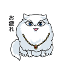 黒猫とペルシャの日常（個別スタンプ：10）