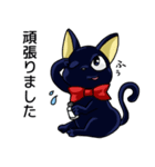 黒猫とペルシャの日常（個別スタンプ：21）