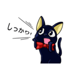 黒猫とペルシャの日常（個別スタンプ：36）