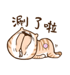 Small bad cat 3（個別スタンプ：38）