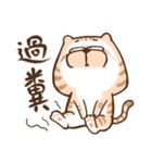 Small bad cat 3（個別スタンプ：39）