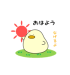 ぴよまーる（個別スタンプ：1）