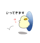 ぴよまーる（個別スタンプ：3）