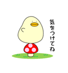 ぴよまーる（個別スタンプ：9）