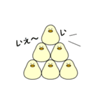 ぴよまーる（個別スタンプ：16）