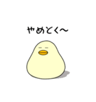 ぴよまーる（個別スタンプ：24）