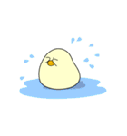 ぴよまーる（個別スタンプ：27）