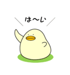 ぴよまーる（個別スタンプ：31）