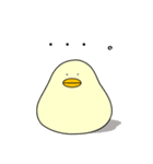 ぴよまーる（個別スタンプ：40）