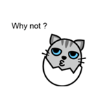Egg cat - Youth go abroad（個別スタンプ：35）