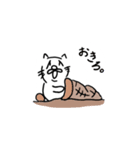 ねこだかいぬだかあーるだよ（個別スタンプ：7）