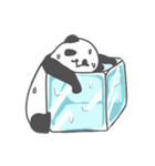 Pan Pan and his little friends everyday（個別スタンプ：6）