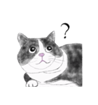 Milin cat（個別スタンプ：3）