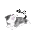 Milin cat（個別スタンプ：4）
