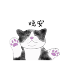 Milin cat（個別スタンプ：5）