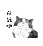 Milin cat（個別スタンプ：11）