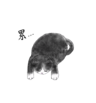 Milin cat（個別スタンプ：12）