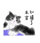 Milin cat（個別スタンプ：13）