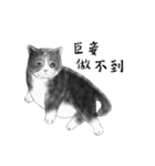 Milin cat（個別スタンプ：15）