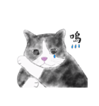 Milin cat（個別スタンプ：16）