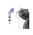 Milin cat（個別スタンプ：18）