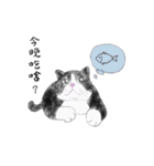 Milin cat（個別スタンプ：26）