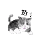 Milin cat（個別スタンプ：27）