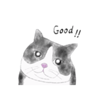 Milin cat（個別スタンプ：29）