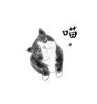 Milin cat（個別スタンプ：31）