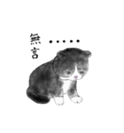 Milin cat（個別スタンプ：32）