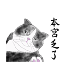 Milin cat（個別スタンプ：33）