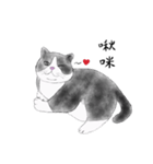 Milin cat（個別スタンプ：36）
