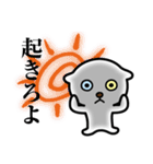 ニャンだニャン太郎（個別スタンプ：1）