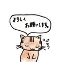 手描きねこちゃんの日常（個別スタンプ：38）