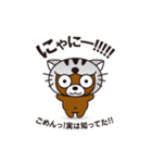 ネコをかぶったくま（個別スタンプ：17）