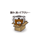 ネコをかぶったくま（個別スタンプ：33）
