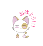 Aki-chan Kitten（個別スタンプ：1）