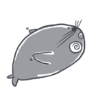 Seal : Water Cat（個別スタンプ：30）