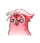 Sleepy Cockatoo（個別スタンプ：19）